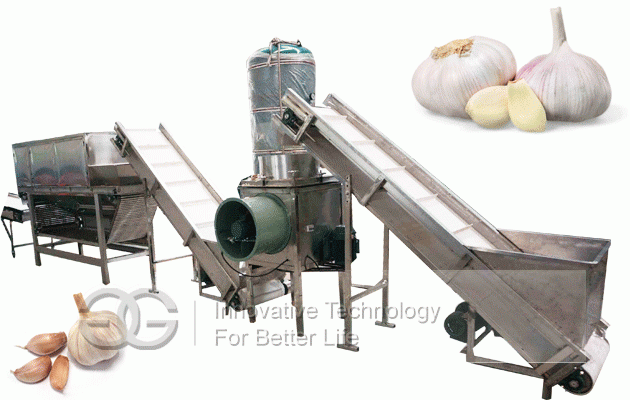Automatic Garlic Peeling Processing Line|Garlic Skin Peeler
