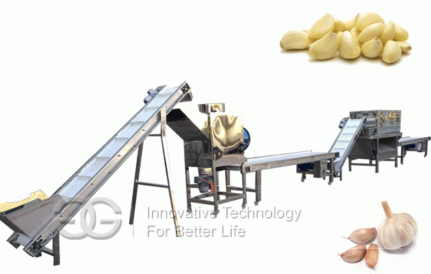 Garlic Peeling Processing Line
