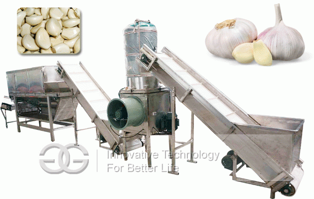 Automatic Garlic Cracking And Peeling Production Line In China