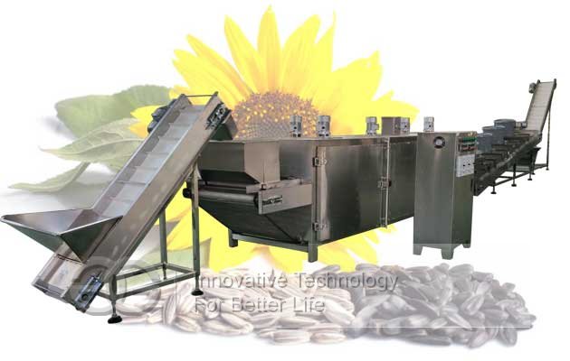 Sunflower Seeds Roasting Production Line