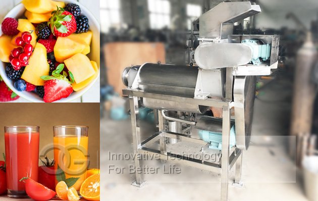 Fruit Juice Making Machine