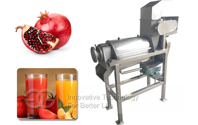 Fruit Juice Extractor