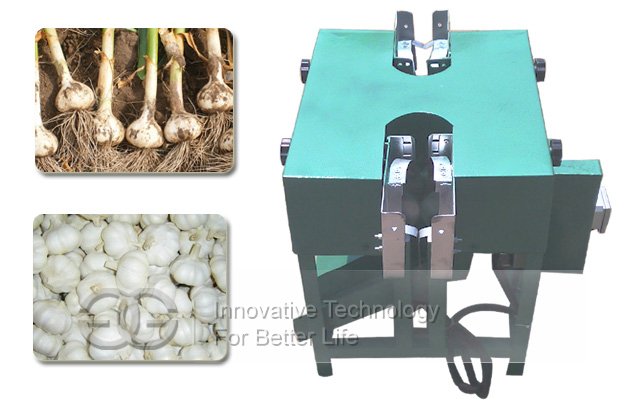 Garlic Root Cutting Machine