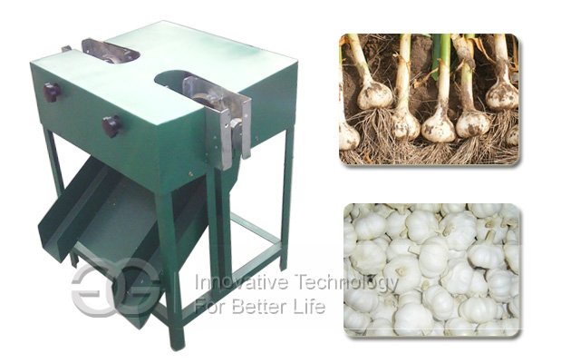 Commercial Use Garlic Root Flat Cutting Machine Manufacturer