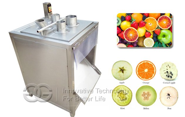 Fruit Slice Cutting Machine