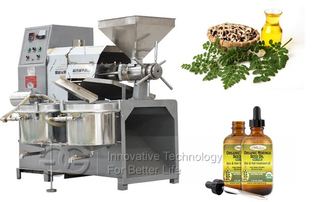 Moringa Seed Oil Extraction Machine|Pili Nut Oil Press