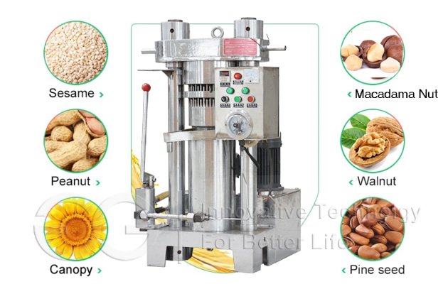 Macadamia Nut Oil Press Machine