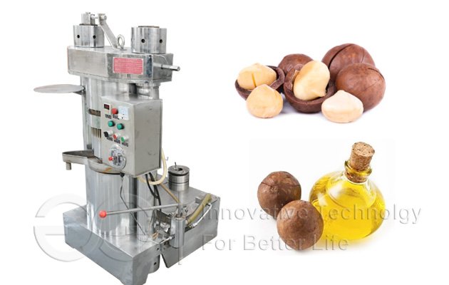Macadamia Nut Oil Extraction Machine