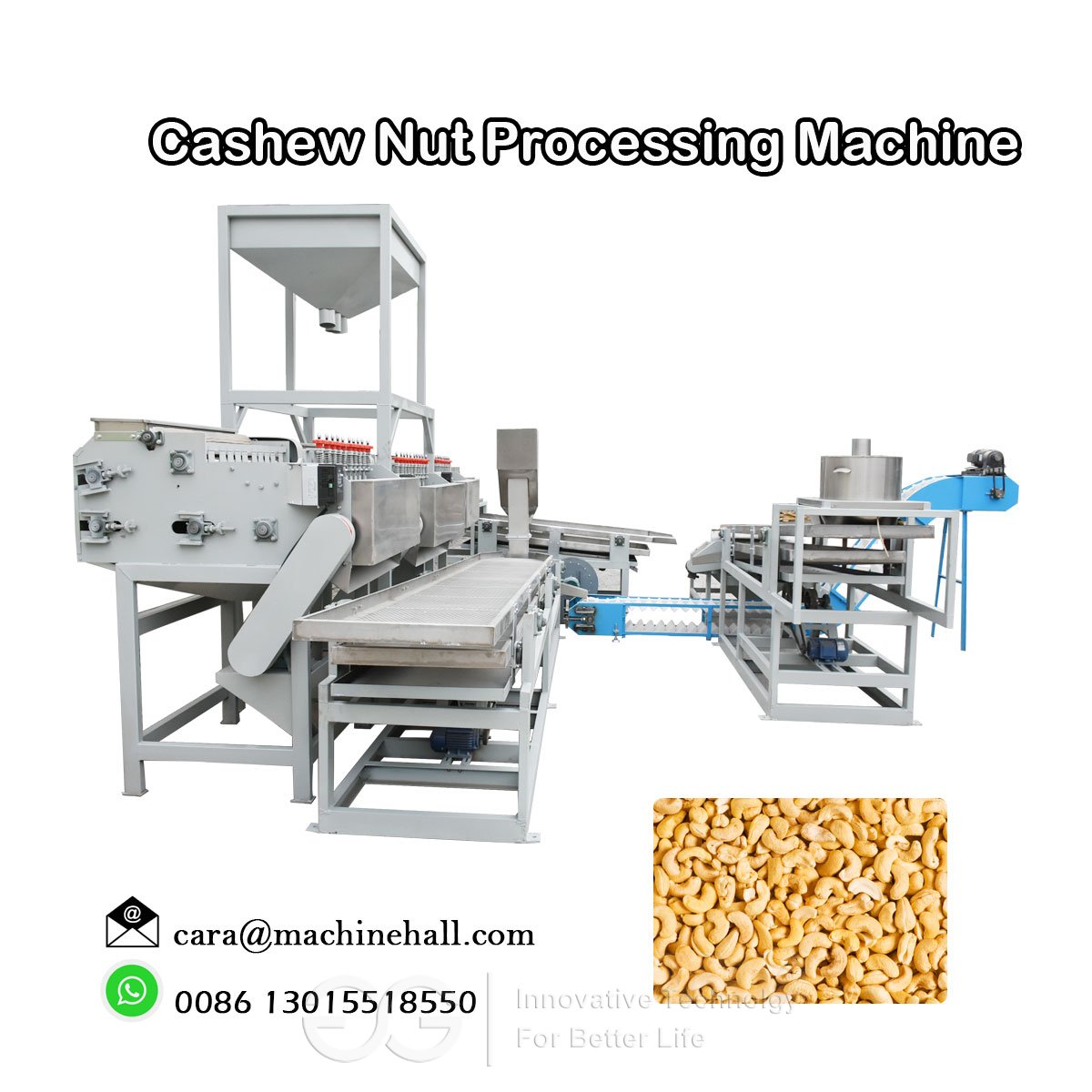 Cashew nut Processing Machine Price