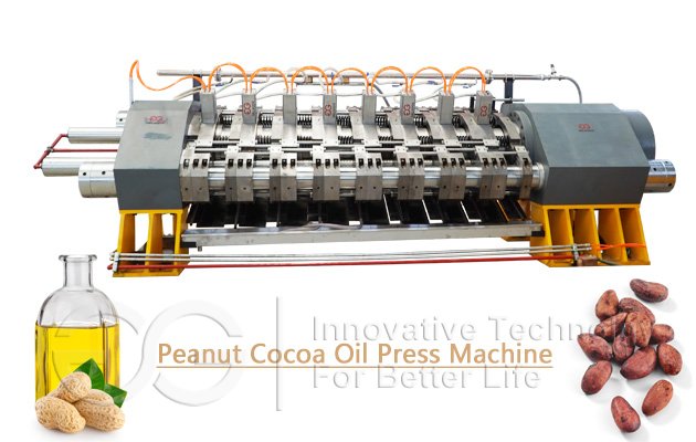 Peanut Walnut Cocoa Oil Press Machine 600KG/H